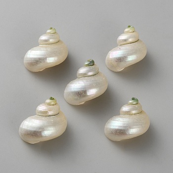 Mini Natural Mixed Shell Beads, No Hole, 33x29x25mm