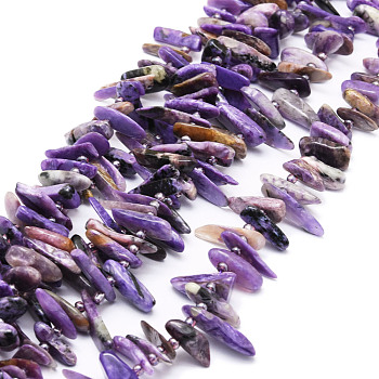 Natural Charoite Beads Strands, Nuggets, 9.5~30x4.5~7.5x1.5~5mm, Hole: 0.8mm, about 80pcs/strand, 15.75 inch(40cm)