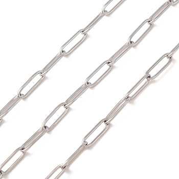 Non-Tarnish 3.28 Feet 304 Stainless Steel Paperclip Chains, Drawn Elongated Cable Chains, Soldered,, Stainless Steel Color, Links: 10x3x0.8mm