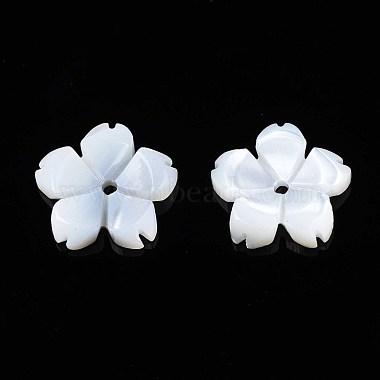 Natural White Shell Beads(SSHEL-S260-057)-2