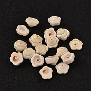 Flower Natural Shiva Eye Shell Beads, PapayaWhip, 12~14x2~5mm, Hole: 1mm(BSHE-M015-02)