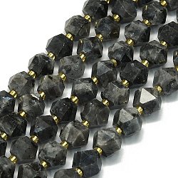 Natural Larvikite Beads Strand, Octagonal, Faceted, 9~10.5x9~10.5x7.5~8.5mm, Hole: 1mm, about 36~40pcs/strand, 15.35~15.55 inch(39~39.5cm)(G-I376-A13-01)