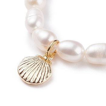 Shell Shaped Brass Pendant Necklace with Natural Pearl for Women, Golden, 15.16 inch(38.5cm)