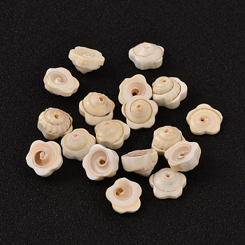 Flower Natural Shiva Eye Shell Beads, PapayaWhip, 12~14x2~5mm, Hole: 1mm