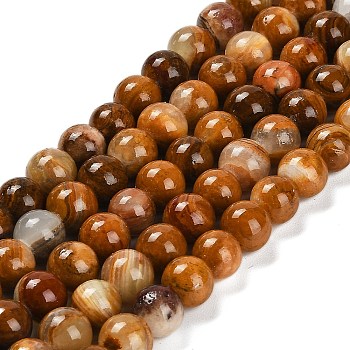 Natural Wood Lace Stone Beads Strands, Round, 8~8.5mm, Hole: 1mm, about 49pcs/strand, 15.47''(39.3cm)