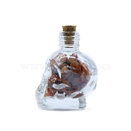 Natural Red Agate Diaplay Decorations, Reiki Energy Stone Chip Skull Shaped Wishing Bottle, 35x44mm(DJEW-PW0009-027D)