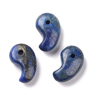 Natural Lapis Lazuli Pendants, Magatama Charms, 20x13x7mm, Hole: 2mm(G-P469-13A-02)