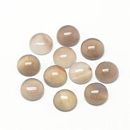 Natural Gray Agate Cabochons, Half Round/Dome, 8x4mm(G-R416-8mm-15)