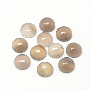 Natural Gray Agate Cabochons, Half Round/Dome, 8x4mm