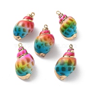 Conch Shell Pendants, with Golden Tone Brass Covered Edge, Spray Painted, Colorful, 26~33x15~18x13~15mm, Hole: 1.5~1.8mm(SSHEL-B002-06C)