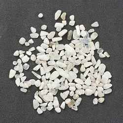 Natural Rainbow Moonstone Beads, No Hole/Undrilled, Chip, 6.5~18.5x3~7.5x1.5~3.5mm, about 1600pcs/500g(G-I304-04A)