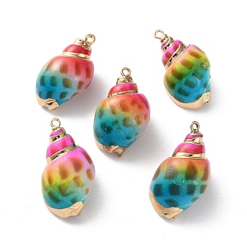 Conch Shell Pendants, with Golden Tone Brass Covered Edge, Spray Painted, Colorful, 26~33x15~18x13~15mm, Hole: 1.5~1.8mm