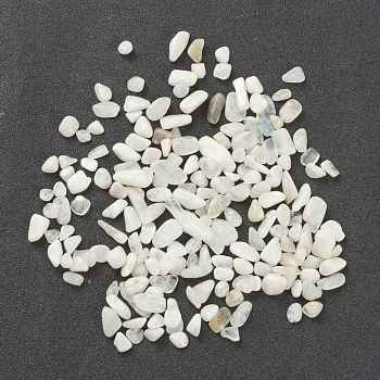 Natural Rainbow Moonstone Beads, No Hole/Undrilled, Chip, 6.5~18.5x3~7.5x1.5~3.5mm, about 1600pcs/500g