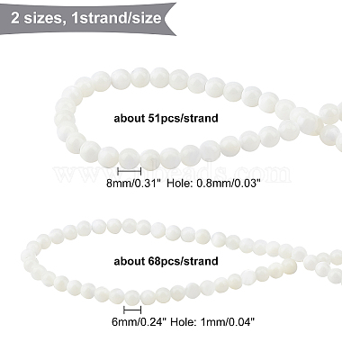 CHGCRAFT 2 Strands 2 Style Natural Spiral Shell Beads Strands(SSHEL-CA0001-02)-2