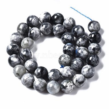 Natural Labradorite Beads Strands(G-N328-49E-01)-2