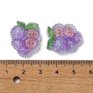 Fruit Transparent Epoxy Resin Decoden Cabochons(CRES-I030-23E)-3