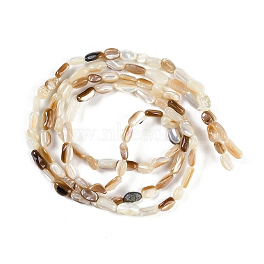 Natural Seashell Beads Strands(BSHE-H109-09)-3