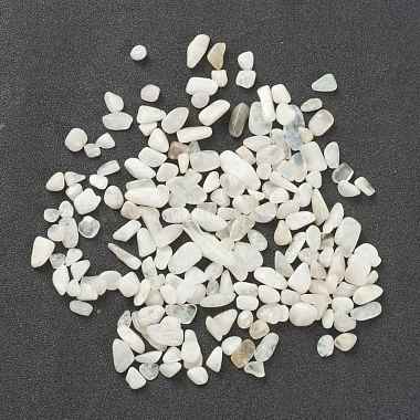 Chip Moonstone Beads