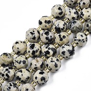 Natural Dalmatian Jasper Beads Strands, with Seed Beads, Faceted Bicone Barrel Drum, 7~8x7~8mm, Hole: 1mm, about 35~38pcs/strand, 13.82 inch~14.84 inch(35.1~37.7cm)(G-N326-100-02)