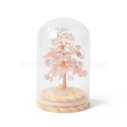 Natural Rose Quartz Chips Money Tree in Dome Glass Bell Jars with Wood Base Display Decorations, for Home Office Decor Good Luck, 71x114mm(DJEW-B007-04B)