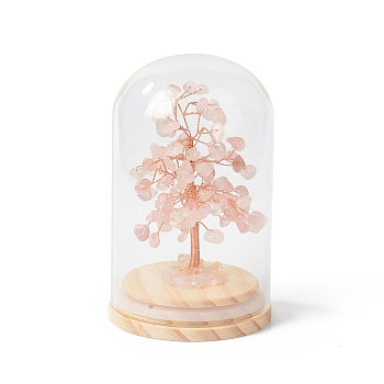 Natural Rose Quartz Chips Money Tree in Dome Glass Bell Jars with Wood Base Display Decorations, for Home Office Decor Good Luck, 71x114mm