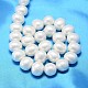 Oval Shell Pearl Bead Strands(BSHE-L013-L-A013A)-3