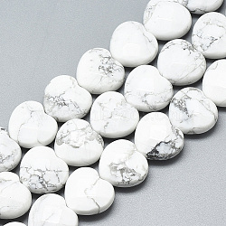 Natural Howlite Beads Strands, Faceted, Heart, 14.5~15x15~15.5x7~8mm, Hole: 1.2mm, about 14pcs/strand, 7.6 inch(G-S357-E02-13)