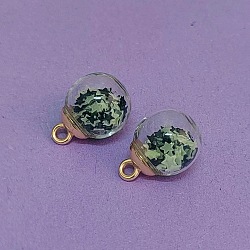 Luminous Glass & PVC Paillette & Alloy Pendants, Golden, Round, Black, 21.5x16mm, Hole: 2.5mm(FIND-WH0126-843G)
