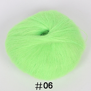 25g Angora Mohair Wool Knitting Yarn, for Shawl Scarf Doll Crochet Supplies, Pale Green, 1mm