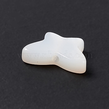 Natural White Shell Beads(BSHE-G031-05)-3