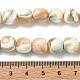 Natural Seashell Shell Beads Strands(SH-CBAFEDD-01B)-3