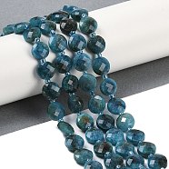 Natural Apatite Beads Strands, Faceted, Flat Round, with Seed Beads, 9.5~10x5~6mm, Hole: 1mm, about 32~34pcs/strand, 15.75~14.96 inch(38~40cm)(G-B094-A27-01)