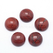 Natural Red Jasper Cabochons, Half Round, 12x5~6mm(X-G-P393-R44-12MM)