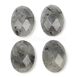 Natural Labradorite Cabochons, Faceted, Oval, 18x13x6mm(G-G760-A15)