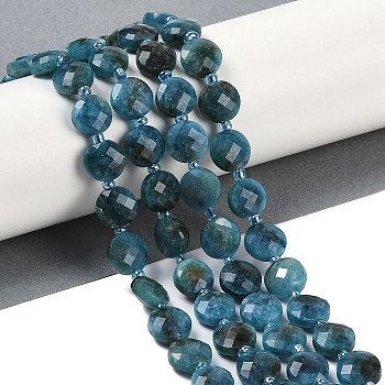 Natural Apatite Beads Strands, Faceted, Flat Round, with Seed Beads, 9.5~10x5~6mm, Hole: 1mm, about 32~34pcs/strand, 15.75~14.96 inch(38~40cm)