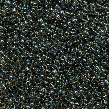 TOHO Round Seed Beads(SEED-JPTR11-0243)-2