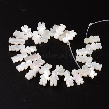 Natural Shell Beads(BSHE-O015-13)-2