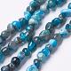 Natural Apatite Beads Strands(G-F506-12)-1
