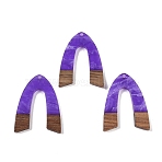 Resin & Wood Pendants, Arch Charms, Blue Violet, 37.5x28.5x3.5mm, Hole: 2mm(WOOD-F015-16A)