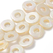 Natural Freshwater Shell Dyed Beads Strands, AB Color, Donut, Seashell Color, 15x2.5mm, Hole: 0.5mm, about 25~26pcs/strand, 15.16''~15.28''(38.5~38.8cm)(BSHE-P033-01A)