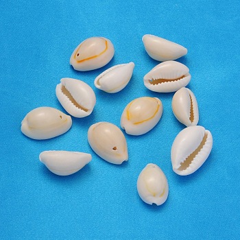 Natural Cowrie Shell Beads, Dyed, Seashell Color, 18.5~23x13~14x9~11mm, Hole: 1.5mm
