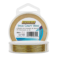 Round Iron Wire,Long-Lasting Plated, Golden, 0.3mm, about 492.12 Feet(150m)/roll(MW-BC0001-01A)