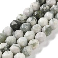 Natural Peace Jade Beads Strands, Faceted, Double Hearted & Star Cut Beads, 7~8.5x7.5~8mm, Hole: 0.8~1mm, about 48~50pcs/strand, 15.16~15.55 inch(38.5~39.5cm)(G-NH0021-A08-01)