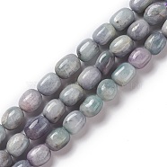 Natural Kunzite Beads Strands, Drum, 12~15x10~12x10~12mm, Hole: 1~1.2mm, about 27~30pcs/strand, 15.55''~15.75''(39.5~40cm)(G-K331-005D)