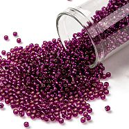 TOHO Round Seed Beads, Japanese Seed Beads, (2223) Silver Lined Dragonfruit, 11/0, 2.2mm, Hole: 0.8mm, about 1110pcs/bottle, 10g/bottle(SEED-JPTR11-2223)