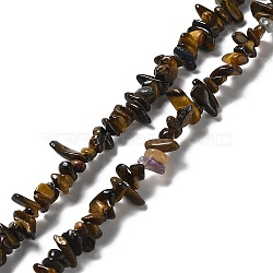 Natural Tiger Eye Beads Strands, Chip, 1~5x3~16x3~5mm, Hole: 0.8~0.9mm, 29.92~32.68''(76~83cm)(G-E607-A05)
