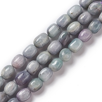 Natural Kunzite Beads Strands, Drum, 12~15x10~12x10~12mm, Hole: 1~1.2mm, about 27~30pcs/strand, 15.55''~15.75''(39.5~40cm)