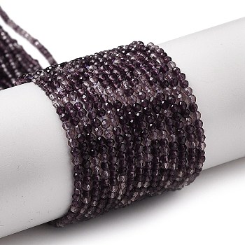 Transparent Glass Beads Strands, Small Beads, Faceted, Round, Purple, 2mm, Hole: 0.6mm, about 188pcs/strand, 14.09''(35.8cm)