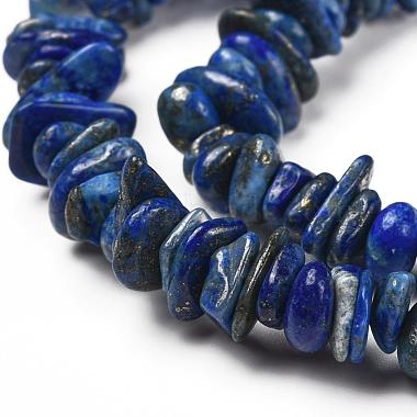 Natural Lapis Lazuli Stone Bead Strands(G-R192-13)-4