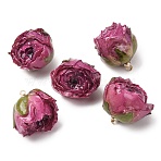 Brass Epoxy Resin Pendants, Inner Dried Flower Pendants, Rose Flower Charm, with Golden Loop, Medium Orchid, 19~27x21~27x19~28.5mm, Hole: 1.6mm(FIND-D043-01G-05)